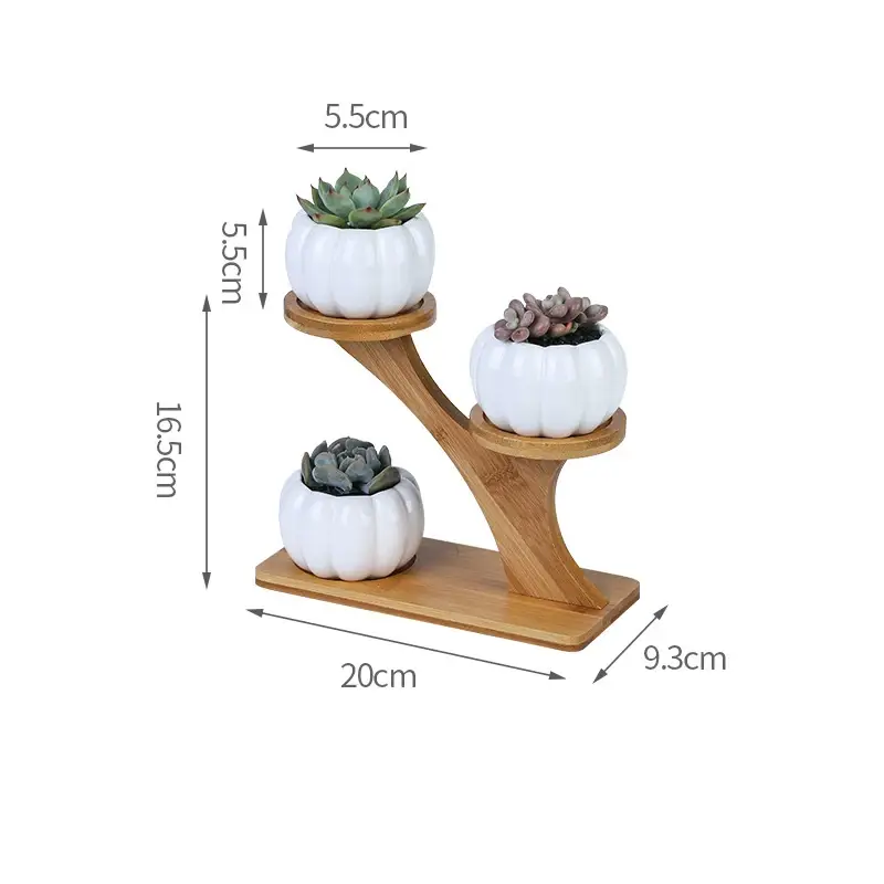 three white ceramic pots with succulents on a wooden stand