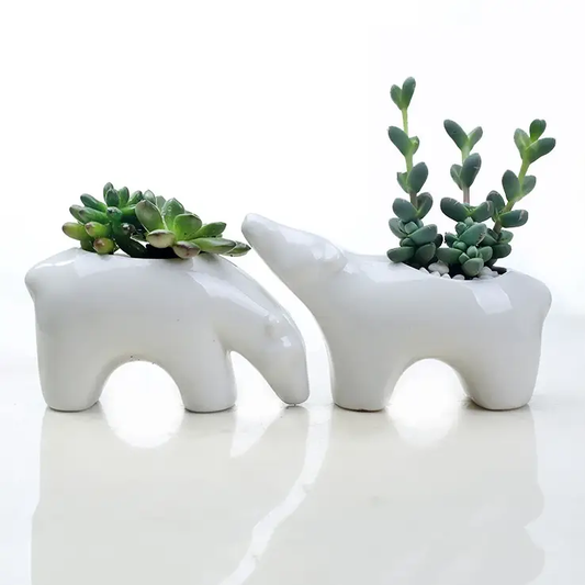 a couple of white planters sitting on top of a table