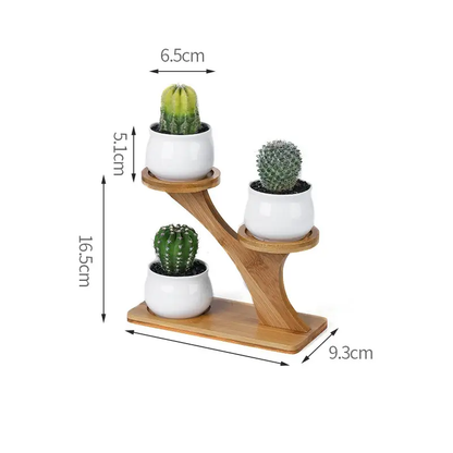 a wooden stand with three white pots and a cactus