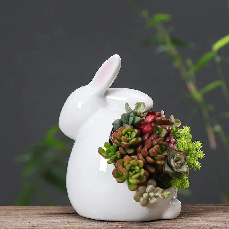 a white bunny shaped planter with succulents