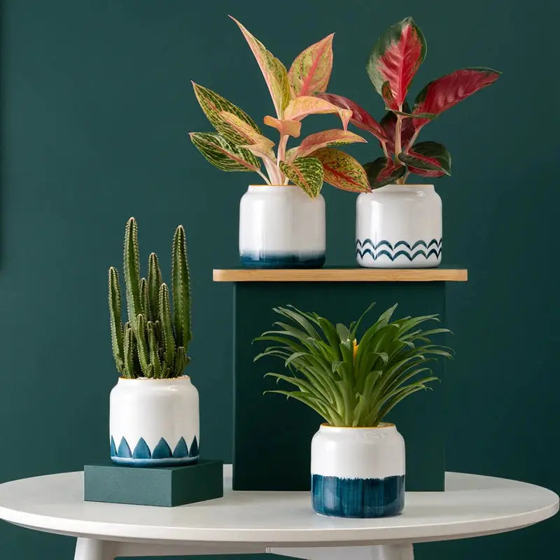 a table topped with three potted plants on top of a white table