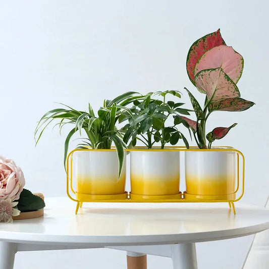 a white table with three planters on top of it