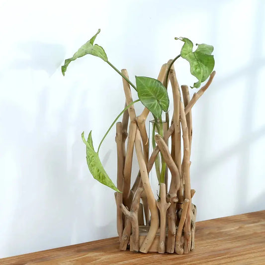 a plant in a vase made out of branches