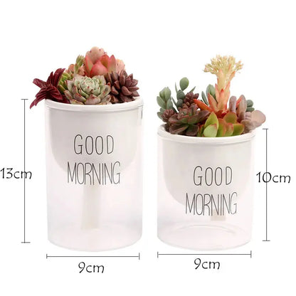 two white cups with succulents and good morning written on them