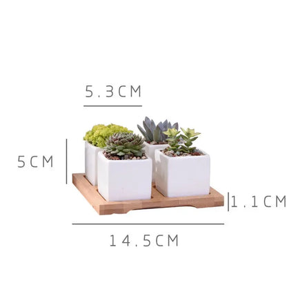 a couple of white planters sitting on top of a wooden shelf
