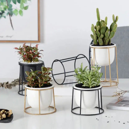 a group of three potted plants sitting on top of a table