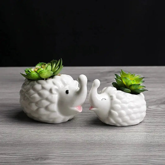 two white ceramic elephants with succulents in their trunks