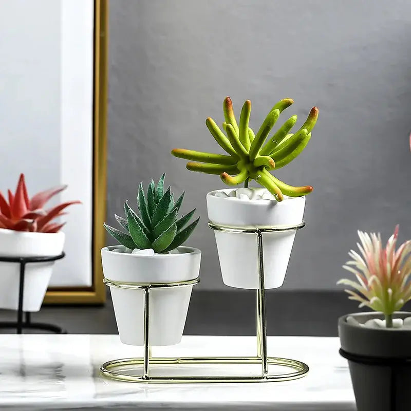 a group of three plants sitting on top of a table