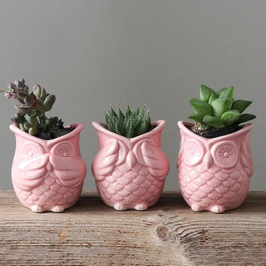 three pink owl planters with succulents in them