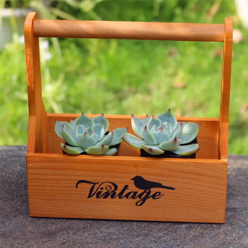 a wooden box with two succulents in it