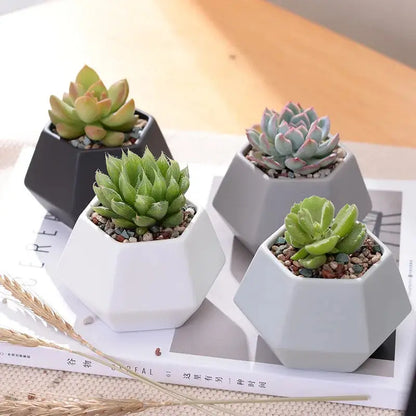 a group of three planters sitting on top of a table