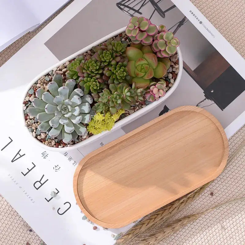 a wooden tray with succulents on top of a magazine