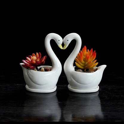 a couple of white swan shaped planters filled with succulents