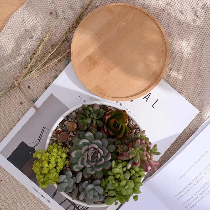 a bowl of succulents and a book on a table