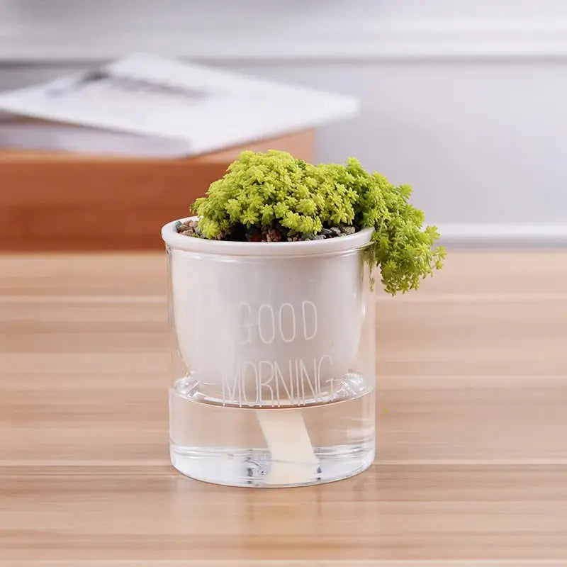 a small potted plant sitting on top of a wooden table