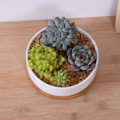 a white bowl filled with plants on top of a wooden table
