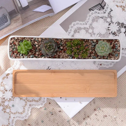 a succulent plant in a wooden container on a lace doily