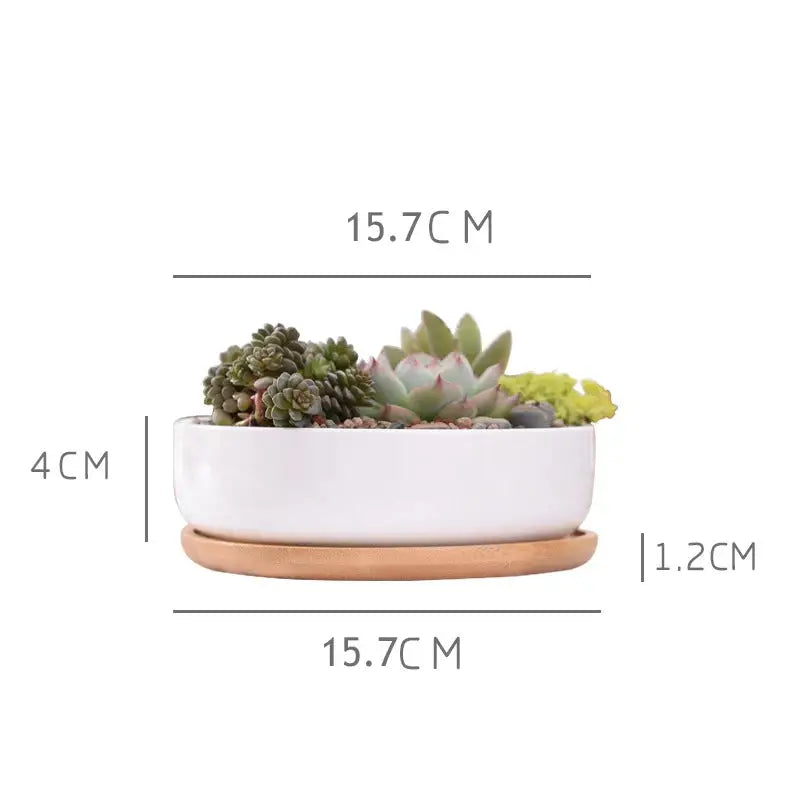 a white planter with succulents in it
