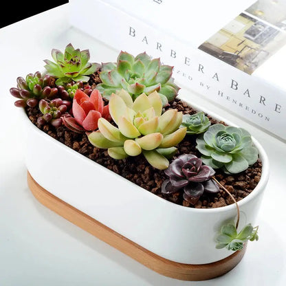 a white planter filled with succulents on top of a table