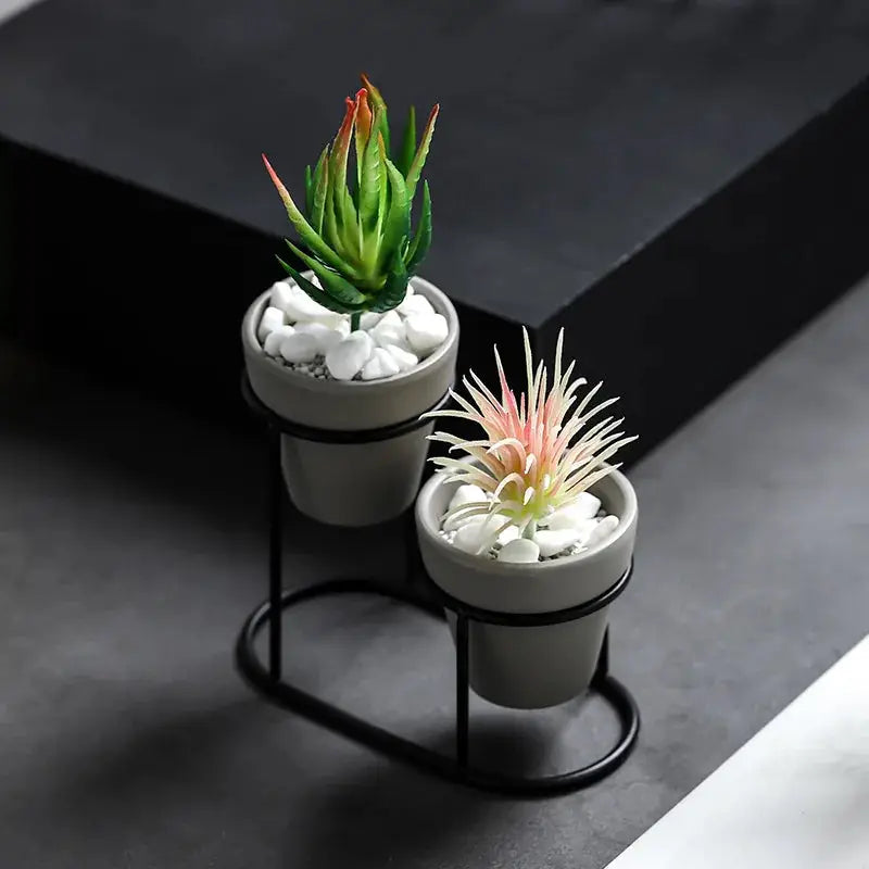 a couple of small plants sitting on top of a table