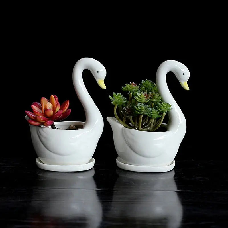 two white swan shaped planters with succulents in them