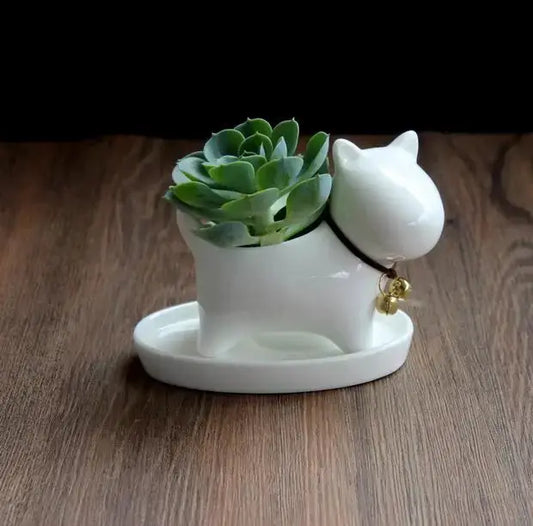 a white ceramic cat planter with a succulent in it