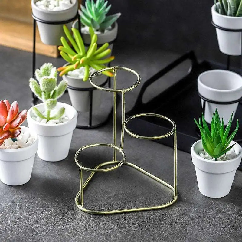a group of small potted plants sitting on top of a table