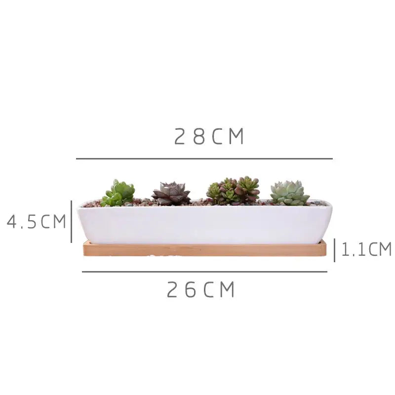 a white planter with two succulents in it