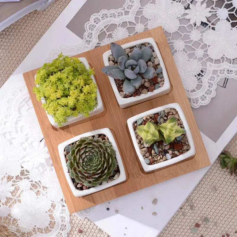 a wooden tray topped with three small pots filled with succulents