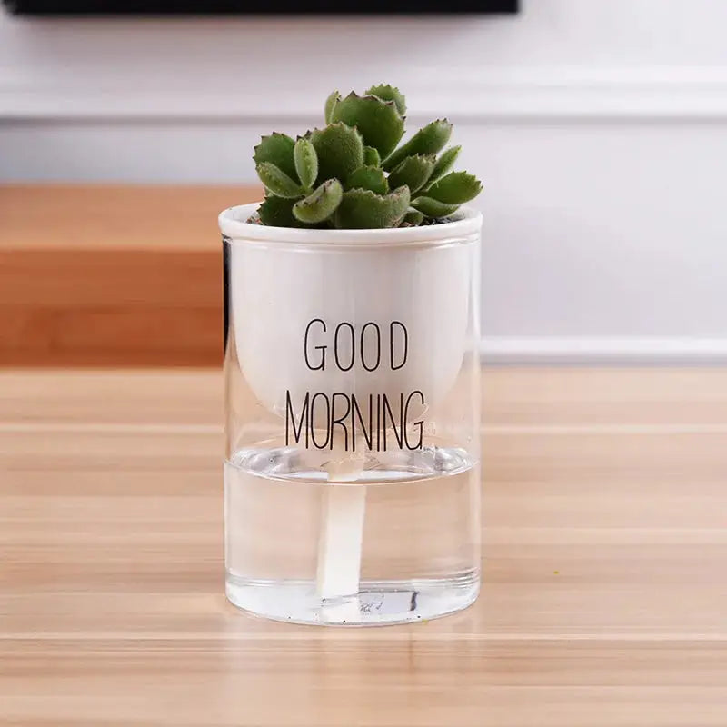 a glass with a succulent in it that says good morning