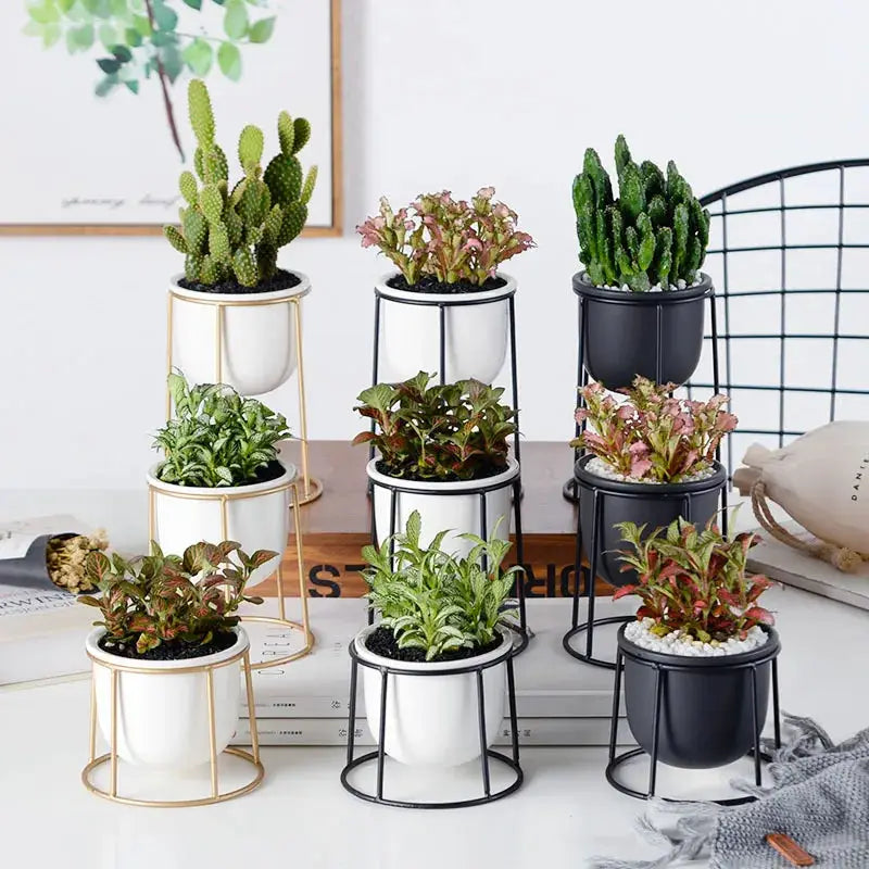 a bunch of potted plants sitting on top of a table