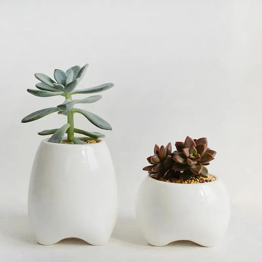 a couple of white vases sitting next to each other