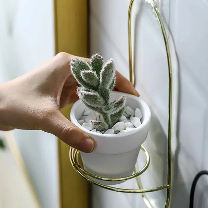 a person holding a small cactus in a white pot