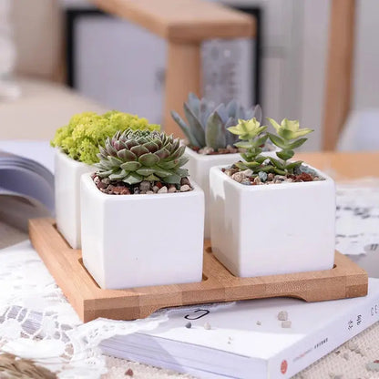 a couple of white planters sitting on top of a wooden tray