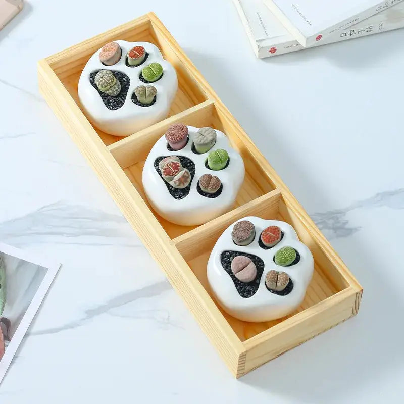 a wooden box with three different types of rocks in it