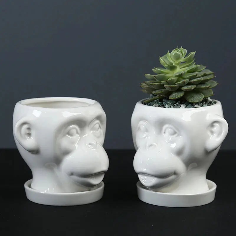 two white monkey planters with a succulent in the middle
