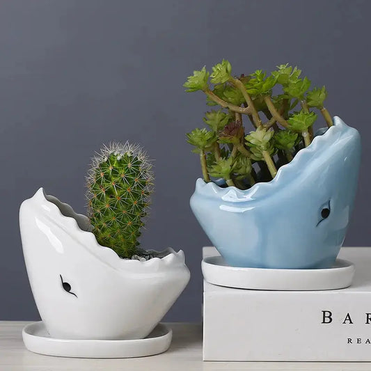 a blue and white ceramic planter with a small cactus in it