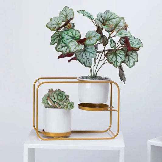 a white and gold planter with two plants in it