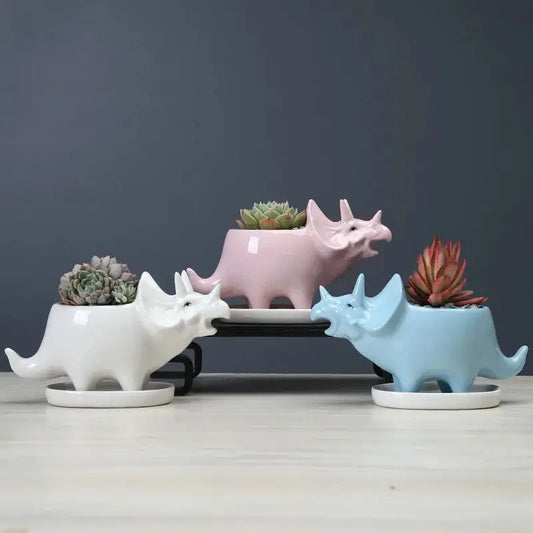 three ceramic rhino planters with succulents in them