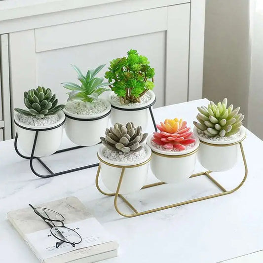 a white table topped with three white pots filled with succulents