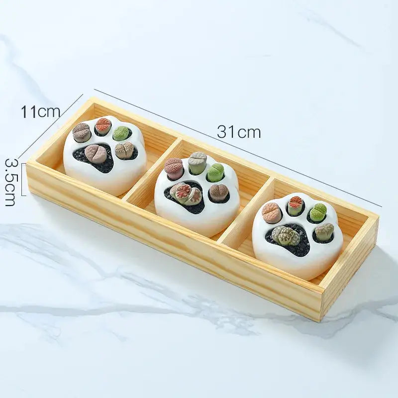 a wooden box with three small rocks in it