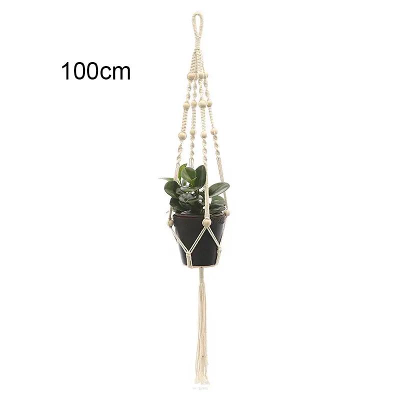 a plant hanging from a rope with a potted plant in it