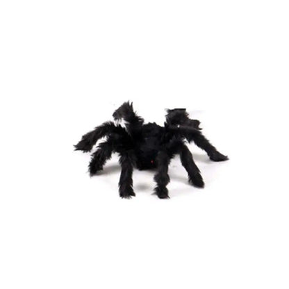 a black spider sitting on top of a white floor