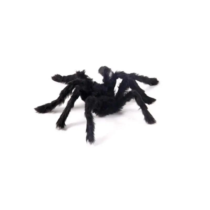 a black spider on a white background