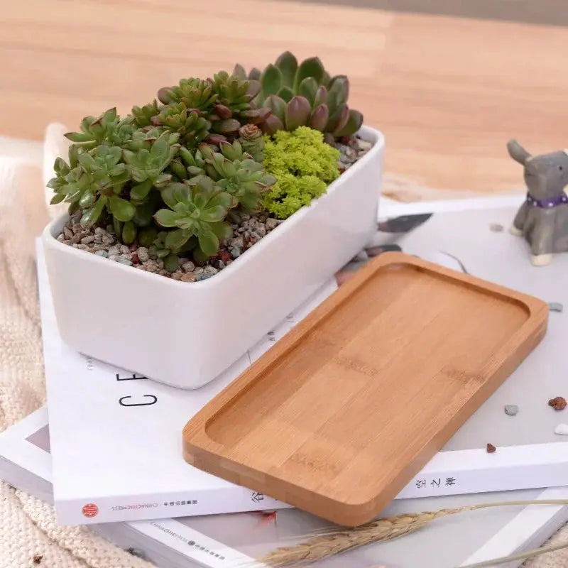 a tray of succulents and a cutting board on a table