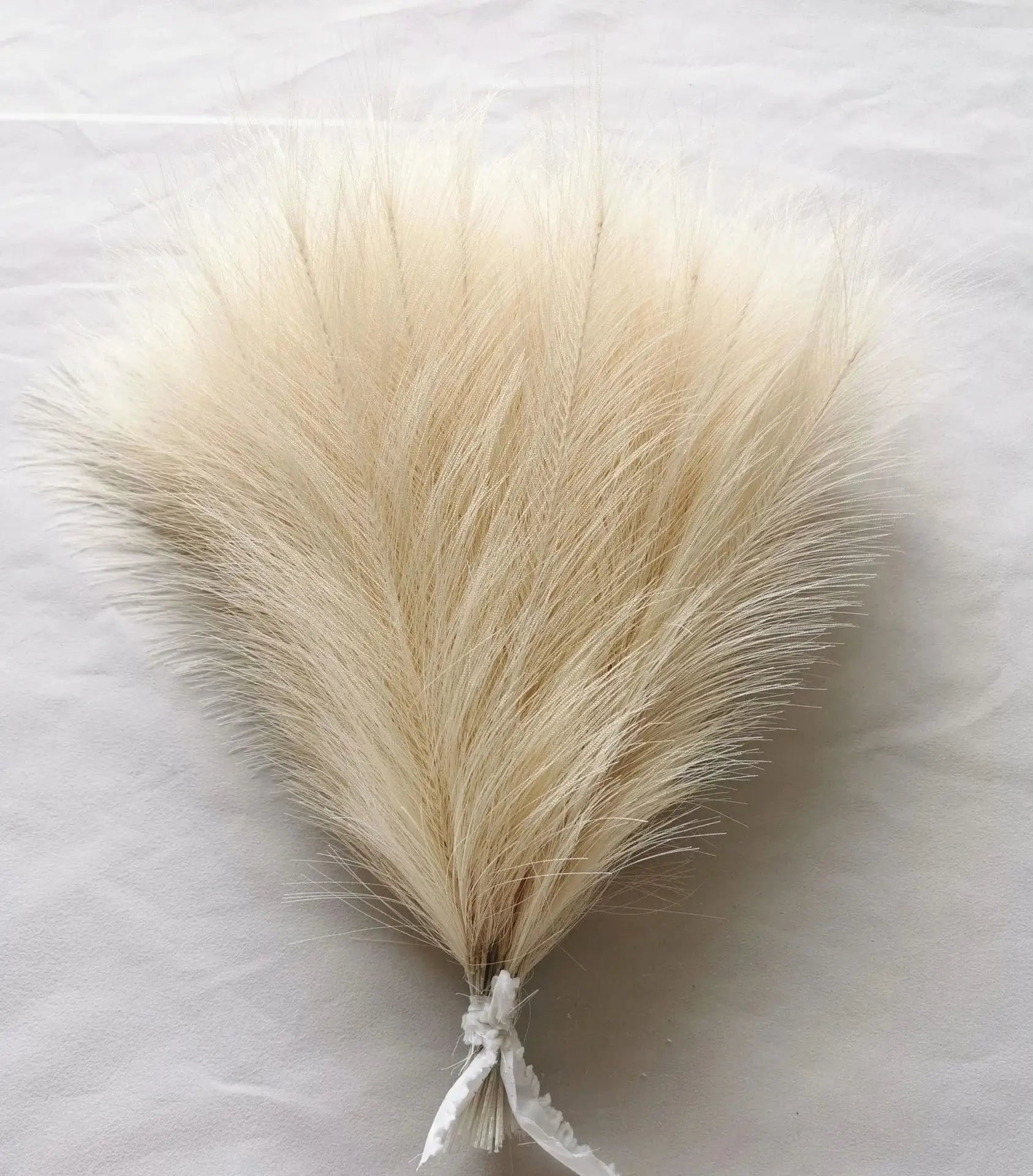 a piece of white fur on a white surface