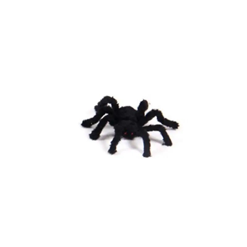 a black spider on a white background