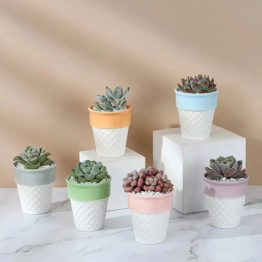 a bunch of small pots with plants in them