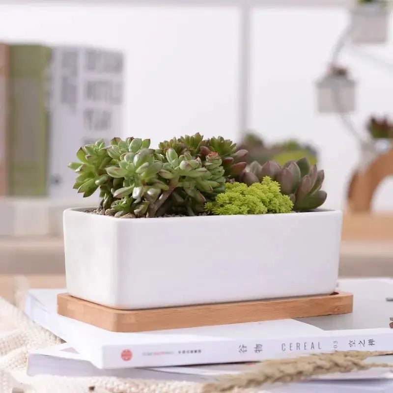 a white planter sitting on top of a stack of books