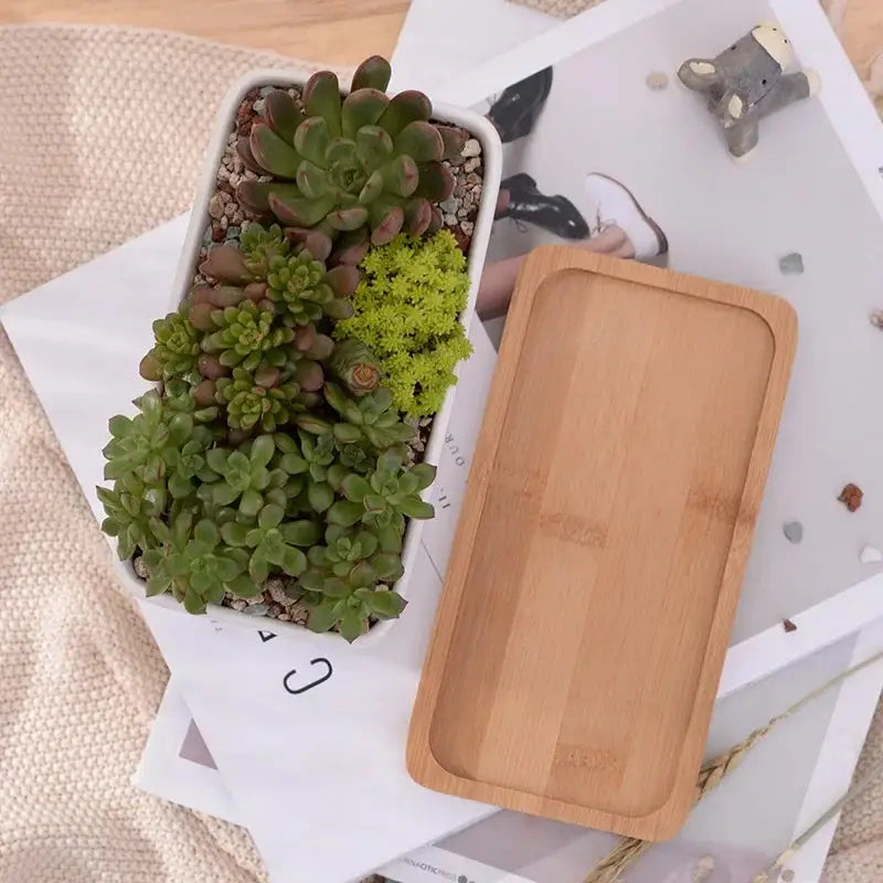 a tray of succulents and a cutting board on a table